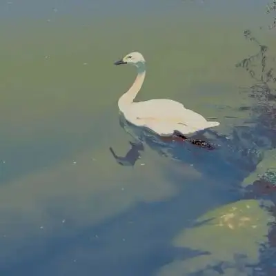 超级好看的绿色系壁纸，在这呢！护眼壁纸(绿色系列的壁纸)