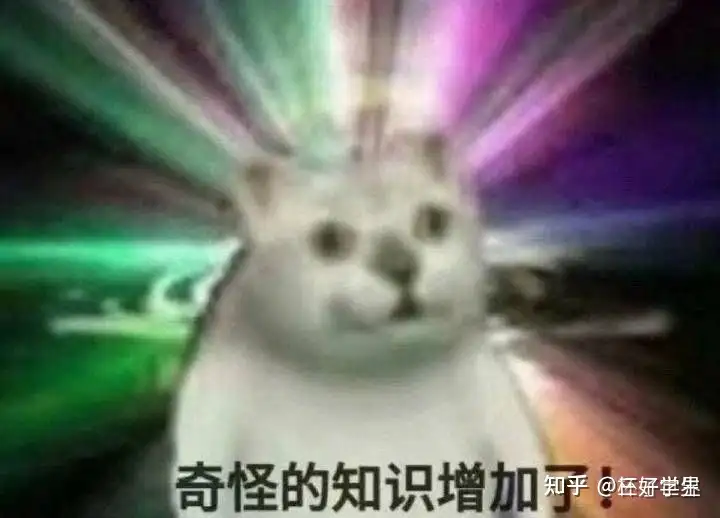 飞机杯的优点2022年飞机杯测评对比,飞机杯的真实感受,飞机杯和真人的区别,飞机杯大盘点!