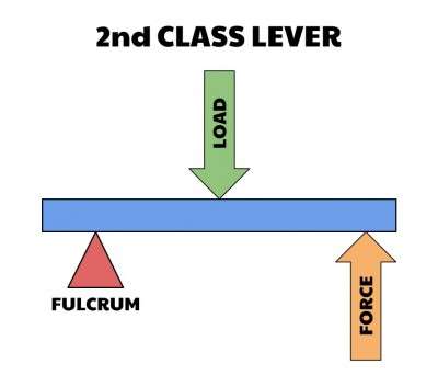 基础生物力学 杠杆 知乎