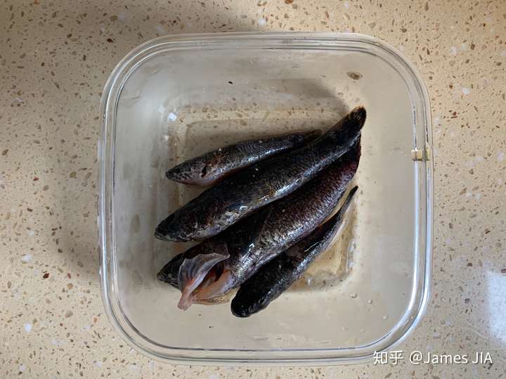 仲夏小鲜私房秘制塘鲤鱼炖蛋