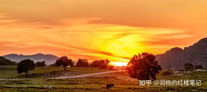 一生负气成今日,四海无人对夕阳- 知乎