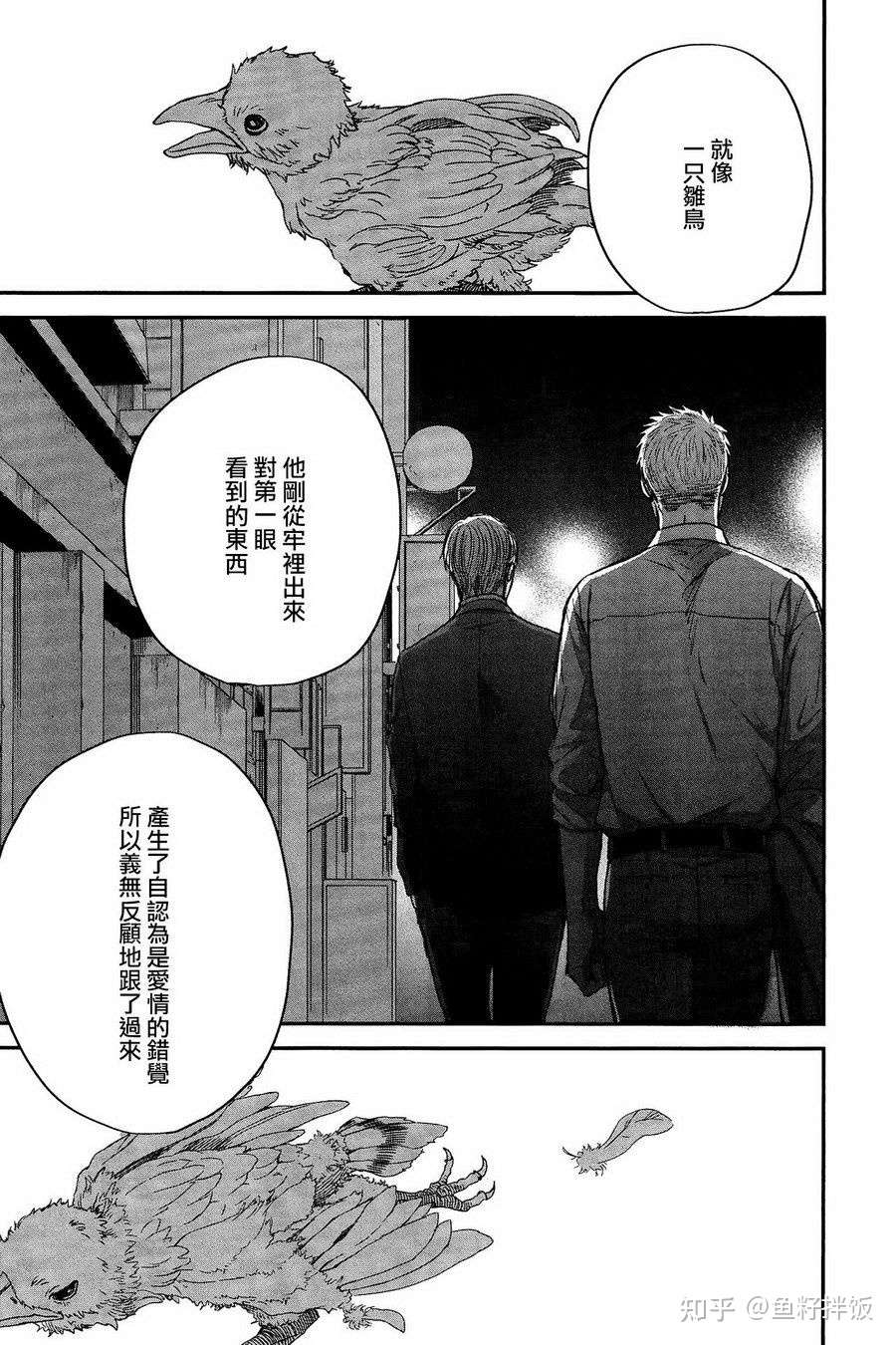 鸣鸟不飞随记 知乎