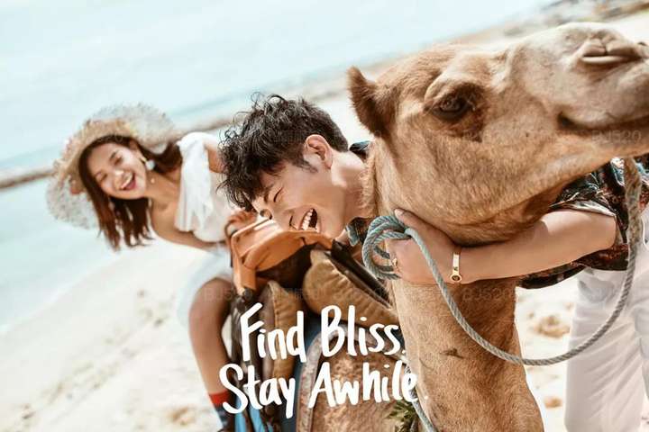 没有人觉得伯爵旅拍最新的广告很烦很没有创意吗