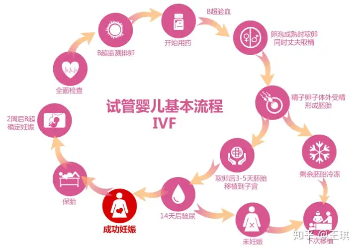 广州助孕中心排名（什么是试管婴儿一张图告知你：）