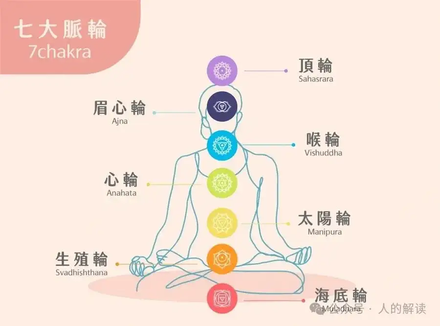 人类图简明入门使用教程-人的解读