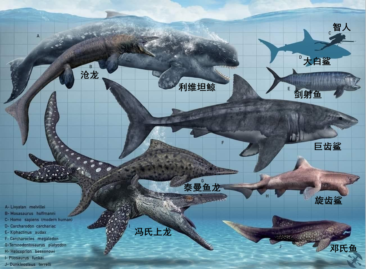 江泓 的想法: 【史前海怪对比图】远古之海 史前海洋之… - 知乎