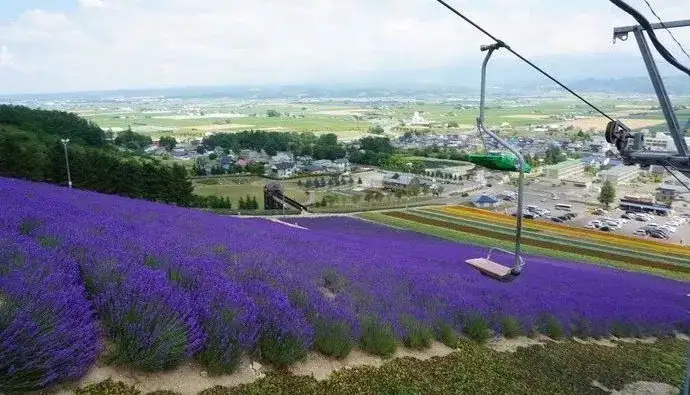 北海道只能冬天看雪 真正懂的人绝不会错过它的夏天 知乎