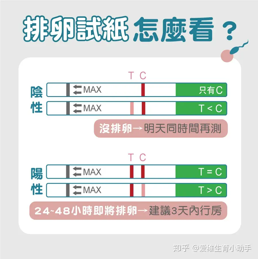 备孕一定要知道！教你如何使用排卵试纸测排卵- 知乎