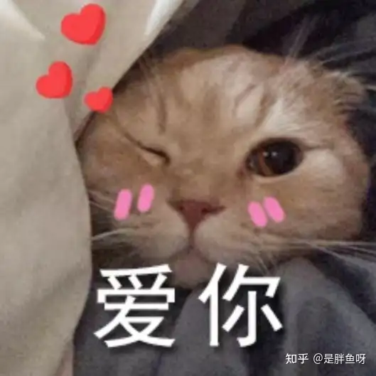 蔬果| 怎样在个人电脑端迈入音频号现场直播？(图13)