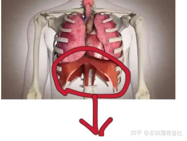 没有学过自己瞎唱的,请专业人士指导下我唱歌中的问题,发声是否科学?