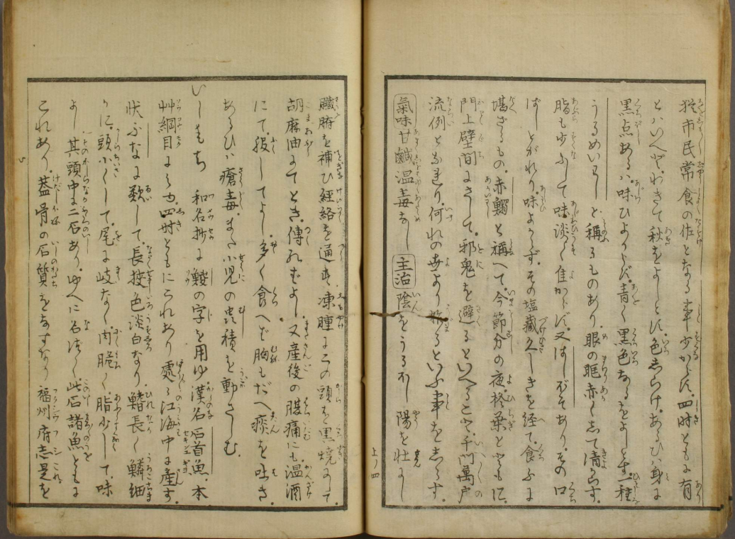 沙丁魚圖譜幾則 知乎