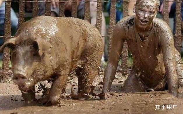 请问人和猪到底有什么区别?