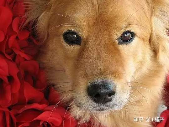 第一个标志 放松的眼神