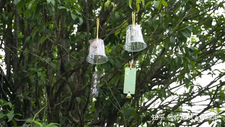 【活力校园】手绘风铃添彩 心融美育校园 | 塘栖校区组织开展手绘风铃活动(图14)