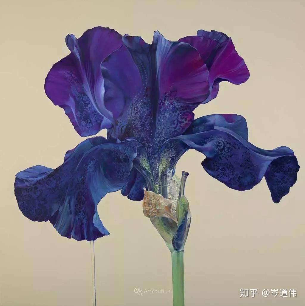 怒放的美丽花卉，美国艺术家​卡梅洛·布兰迪诺- 知乎