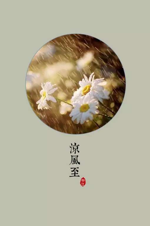 立秋时节 一叶已知秋 知乎