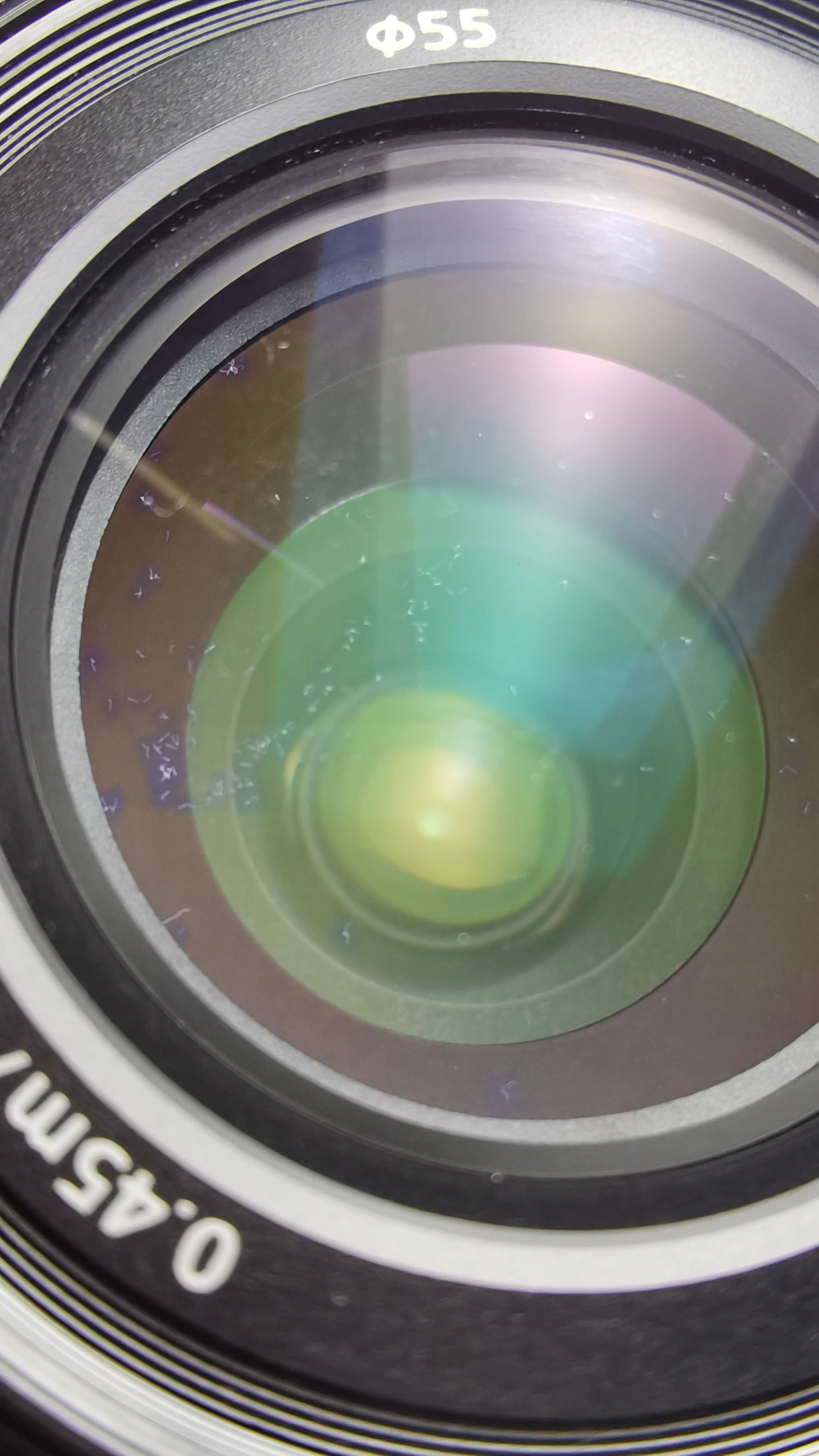 昨夜雨疏风骤 的想法: 索尼18-135镜头,这是霉丝吗请问?