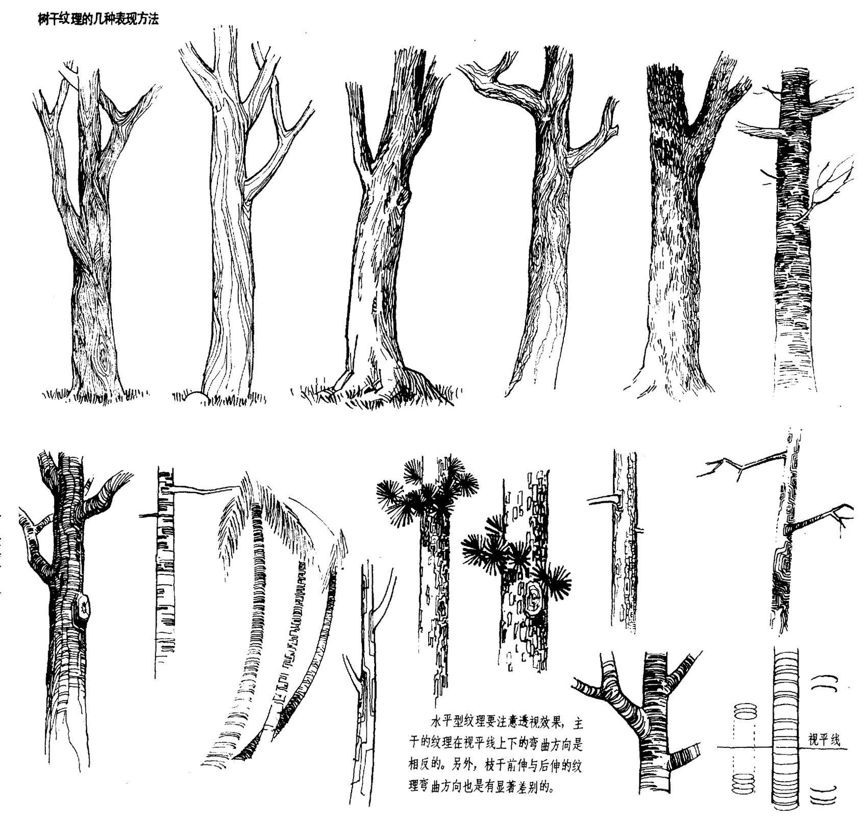 立面树园林绿化手绘平面树素材免费下载 - 觅知网