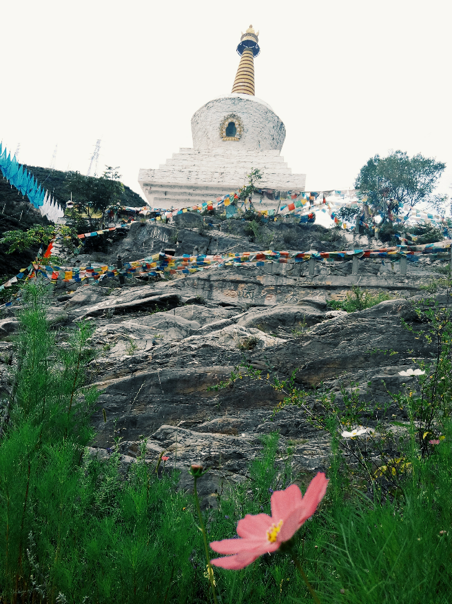 说到四川人,你的第一印象是什么?