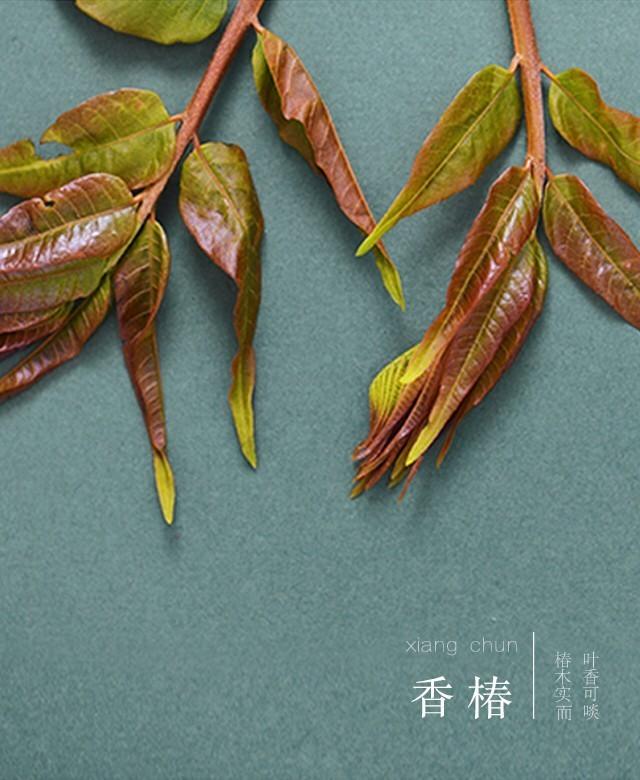 谷雨节气宜吃香椿