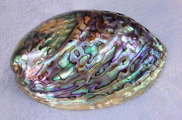 熟肉表面的五彩光泽是什么? - 生活常识 - 知乎