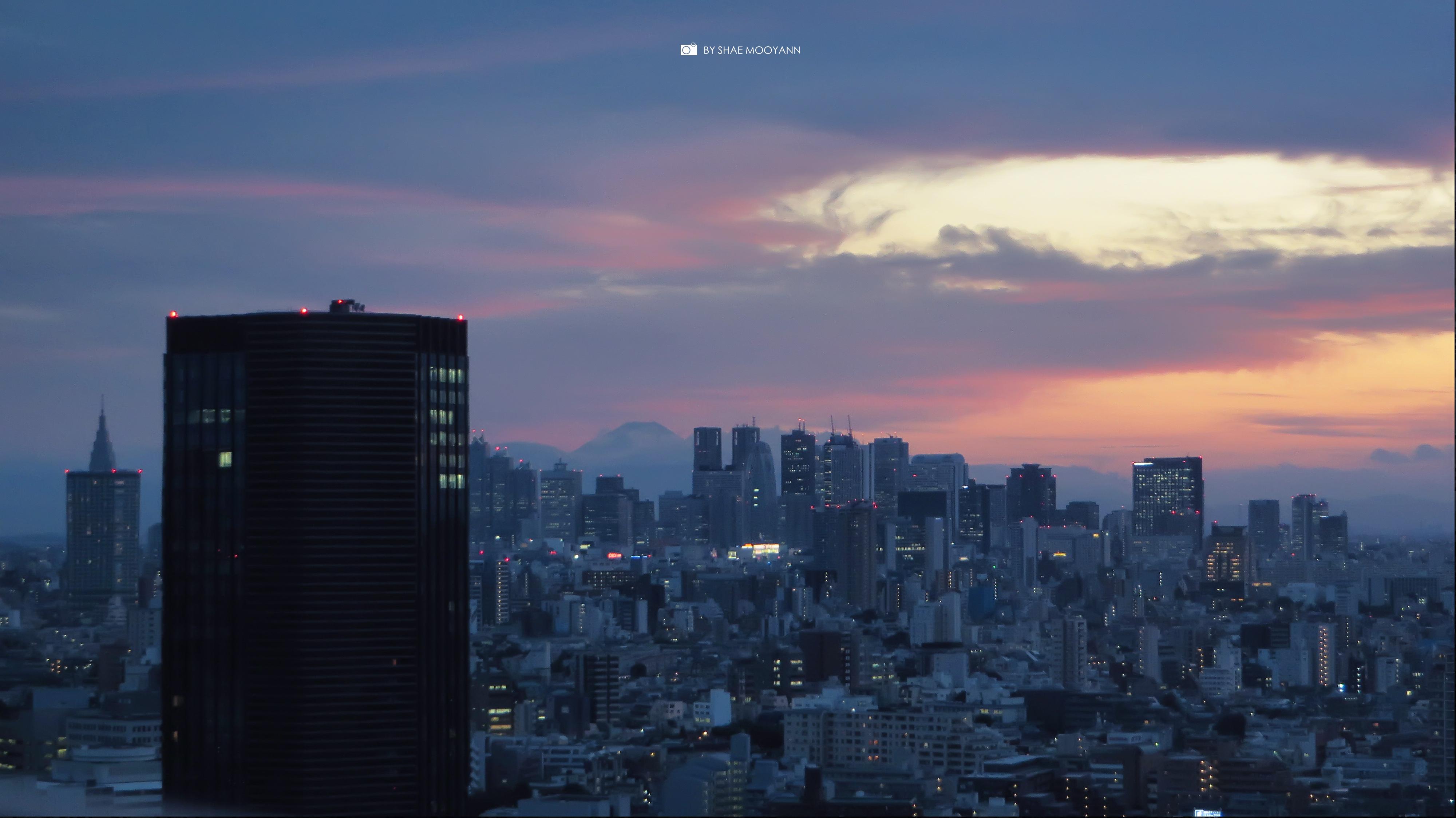 这个夏天最美的东京 - 知乎