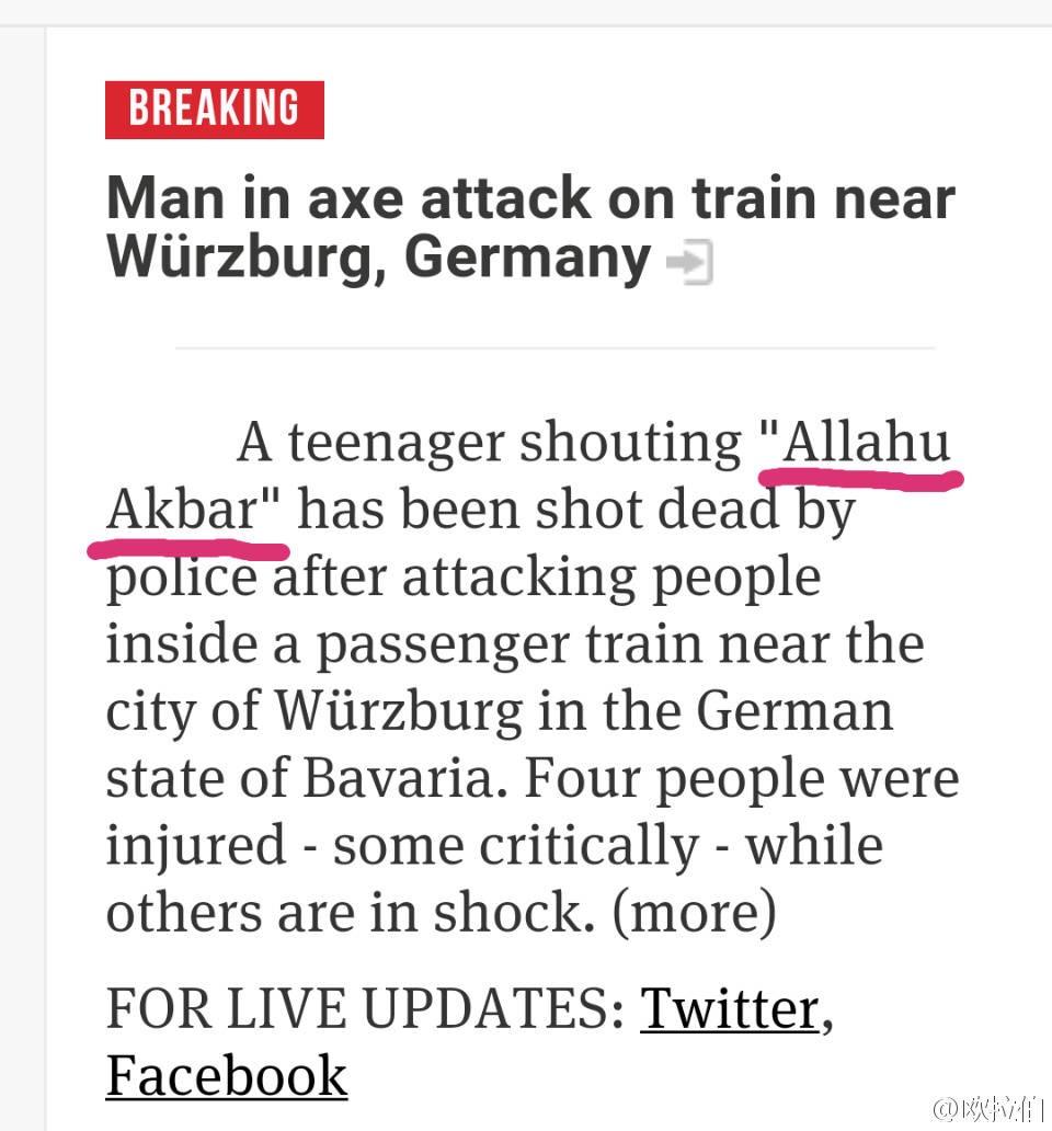 怎样看待7月19日发生在德国的17岁阿富汗难民