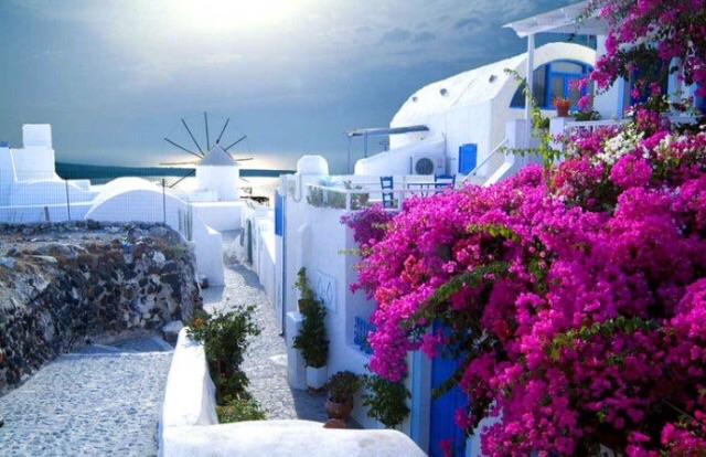 想去南非、希腊、马尔代夫等地旅行,参加旅行