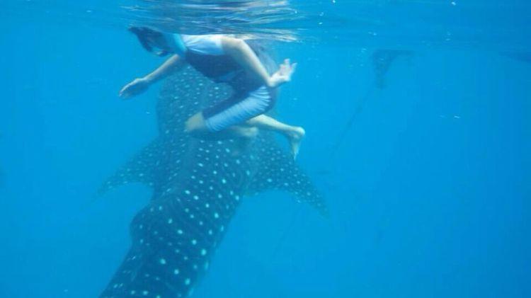 哪些消费不高、不用签证的国家适合旅行? - 陶