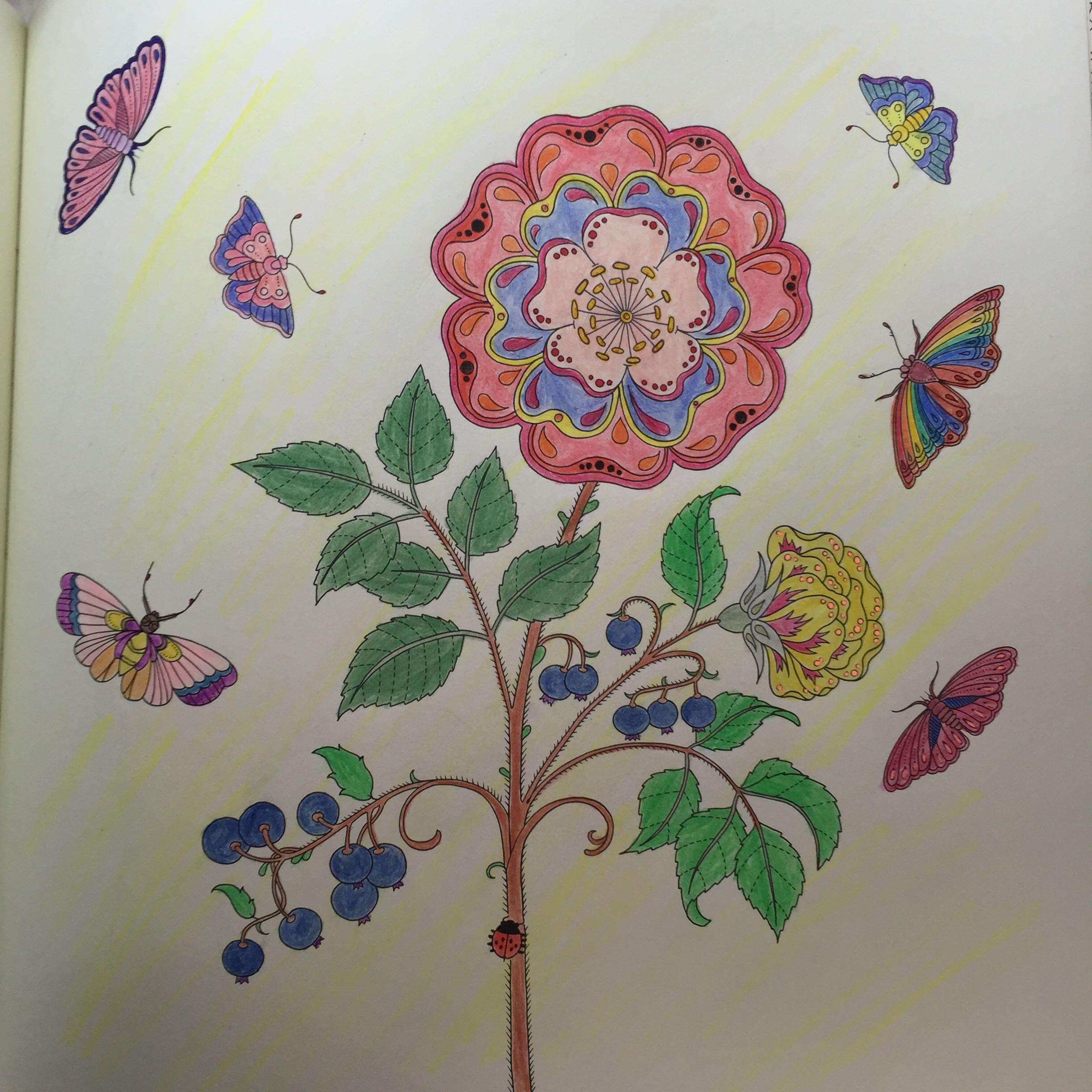 秘密花园怎样涂色才会显得高大上