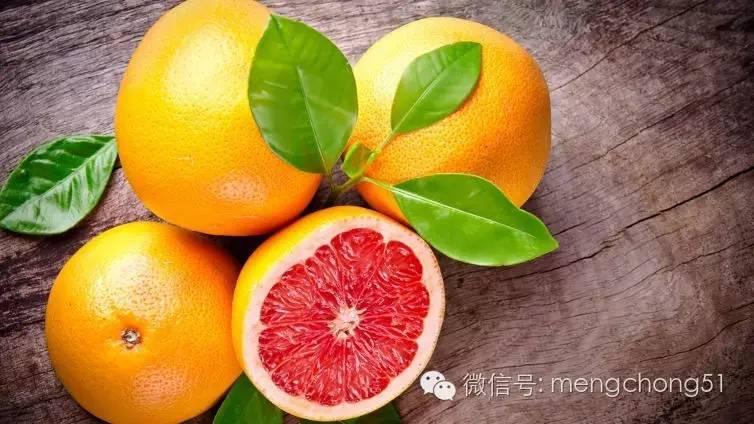 狗能吃什么水果?