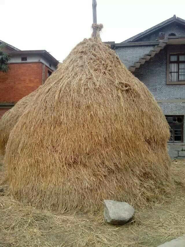 南昌有什么好玩的地方? - 娱乐 - 知乎