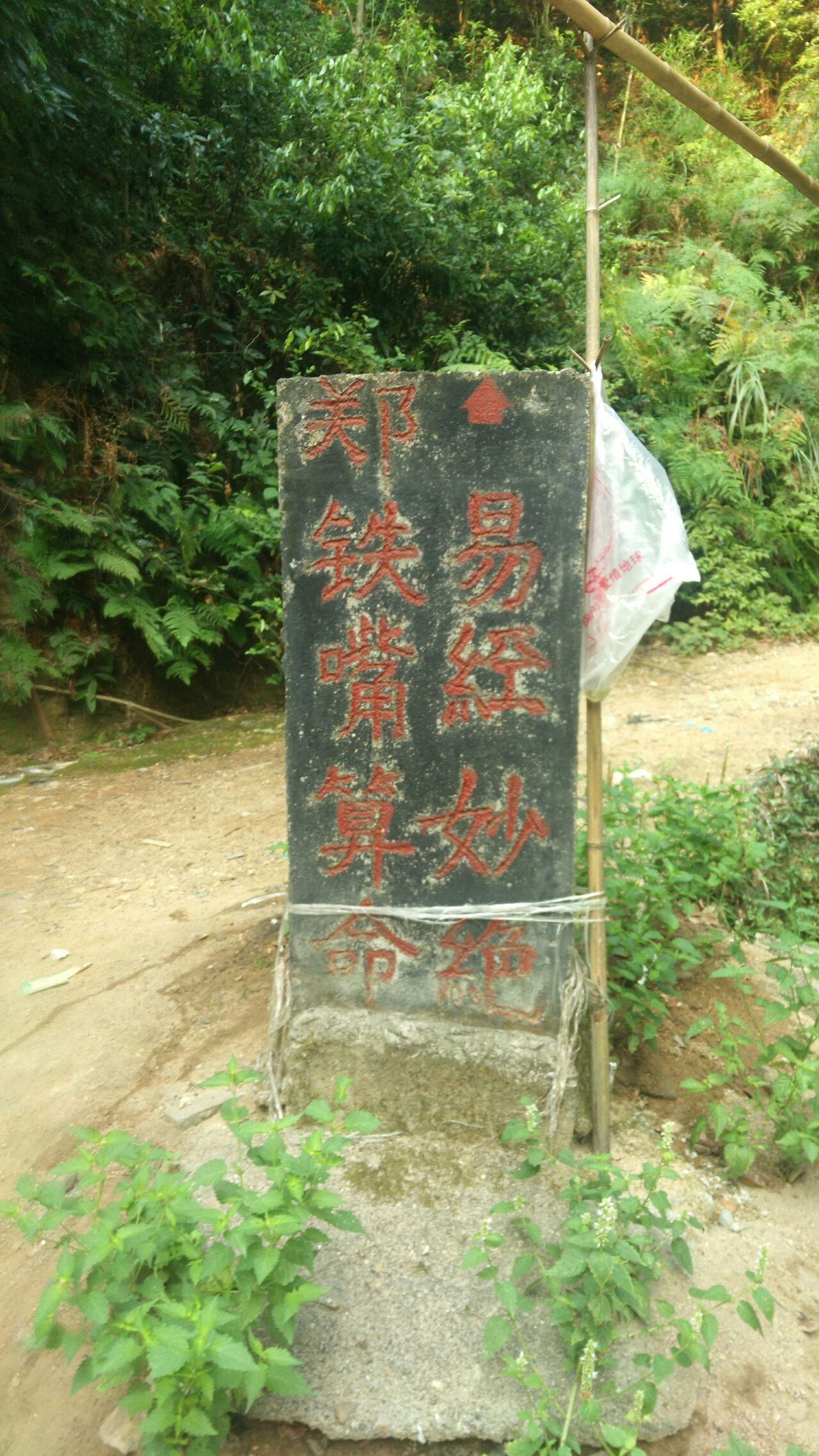 你读过什么三观不正的小说? - 王囧囧的回答 -