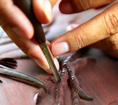 什么叫做变态茎 969fe686cce309c26ac8cd7142e3e77f_b.png