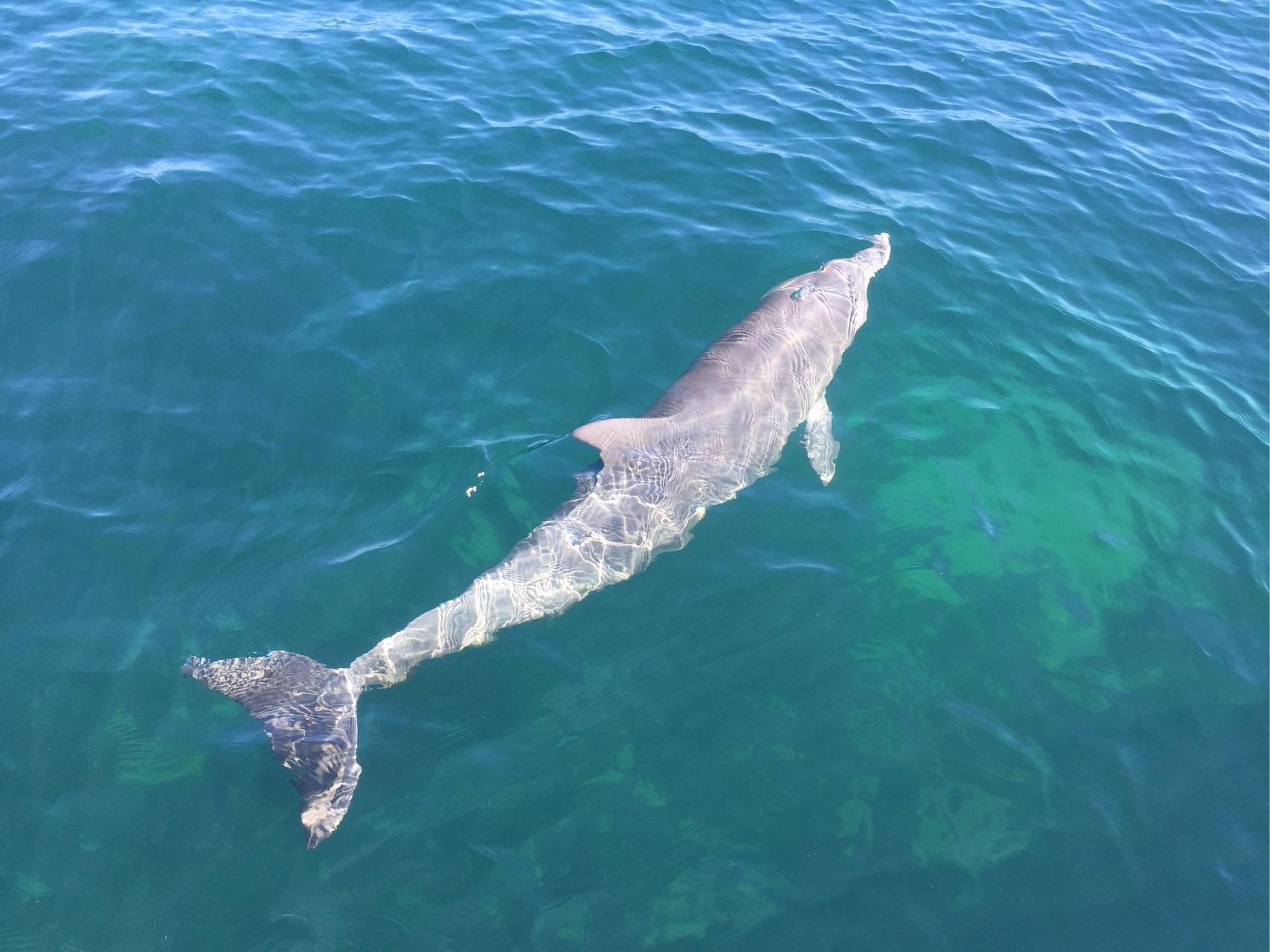 澳大利亚旅游有哪些值得去的地方?大致攻略是