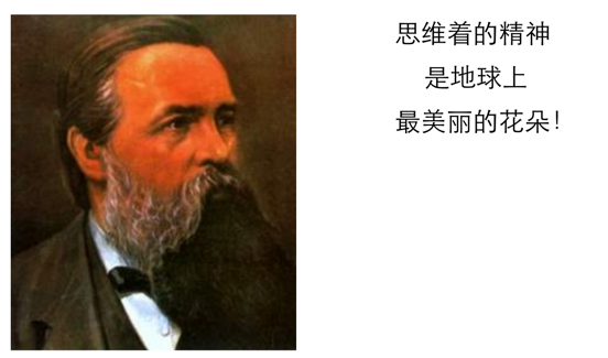恩格斯的名言:思维着的精神是地球上最美的花朵!