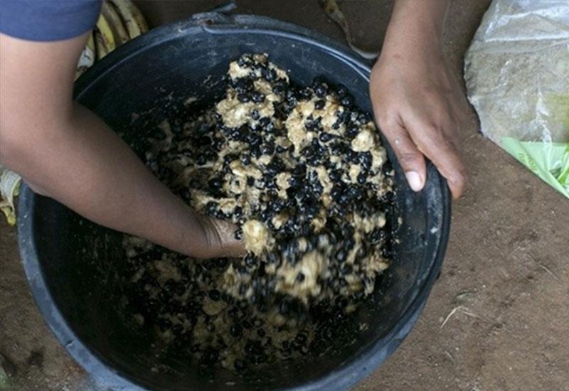 象屎咖啡的制作流程