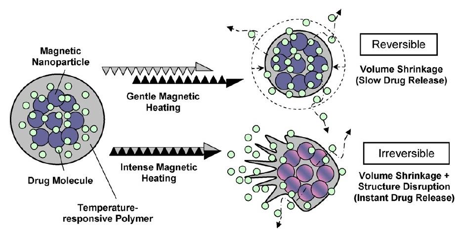 商品化系列c之十一药物载体篇