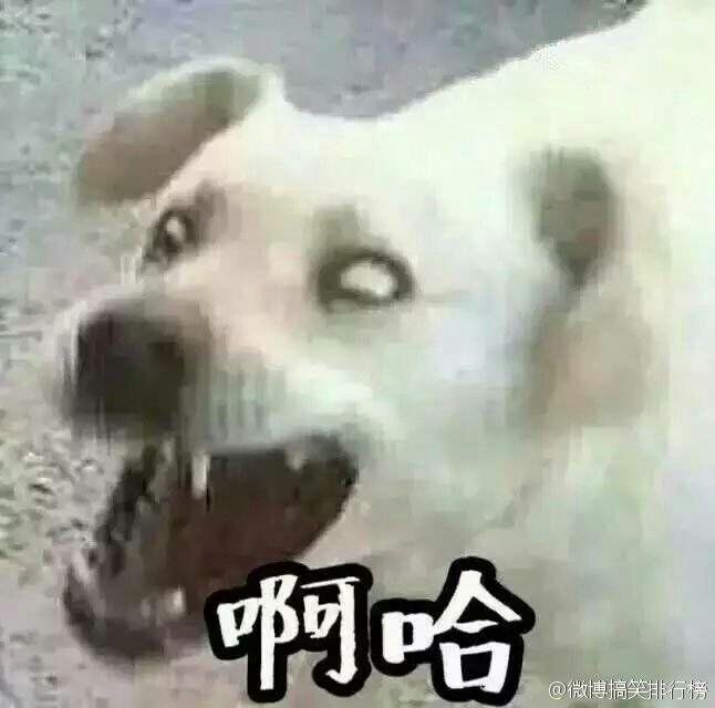 a01247bdda7eef69c2a042c80d3fecdf_r.jpg