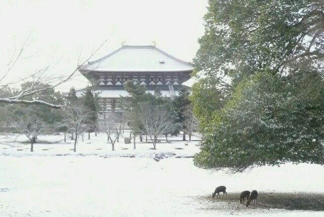 冬天旅游去日本还是韩国? - 张宇欣的回答