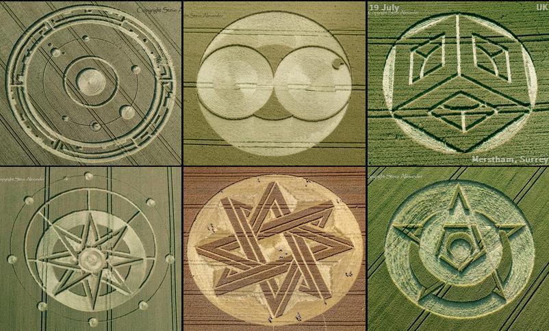 2015·麦田圈季大回顾