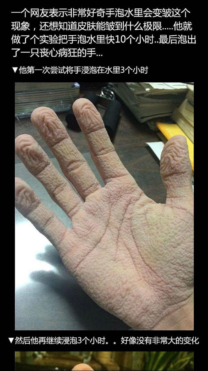 手掌 知乎 手掌 知乎
