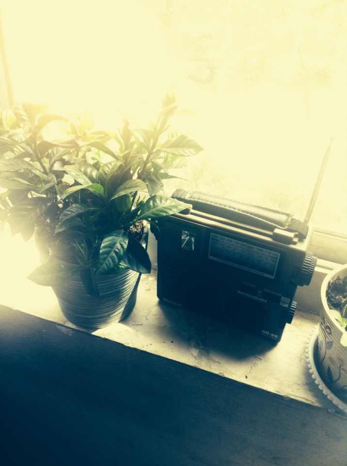 在陕西省西安中学就读是怎样的一种体验? - 西