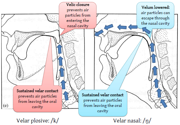 知乎日报 - 知乎