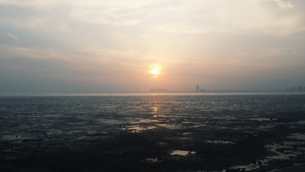 三天不吃饭是一种什么样的体验? - 留名的回答