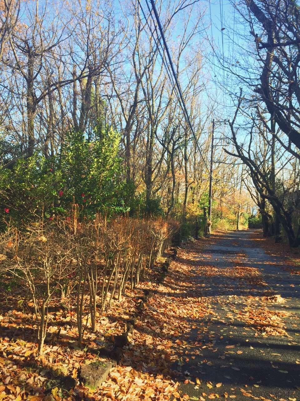 想去日本自由行 是报团还是自己买机票 有什么