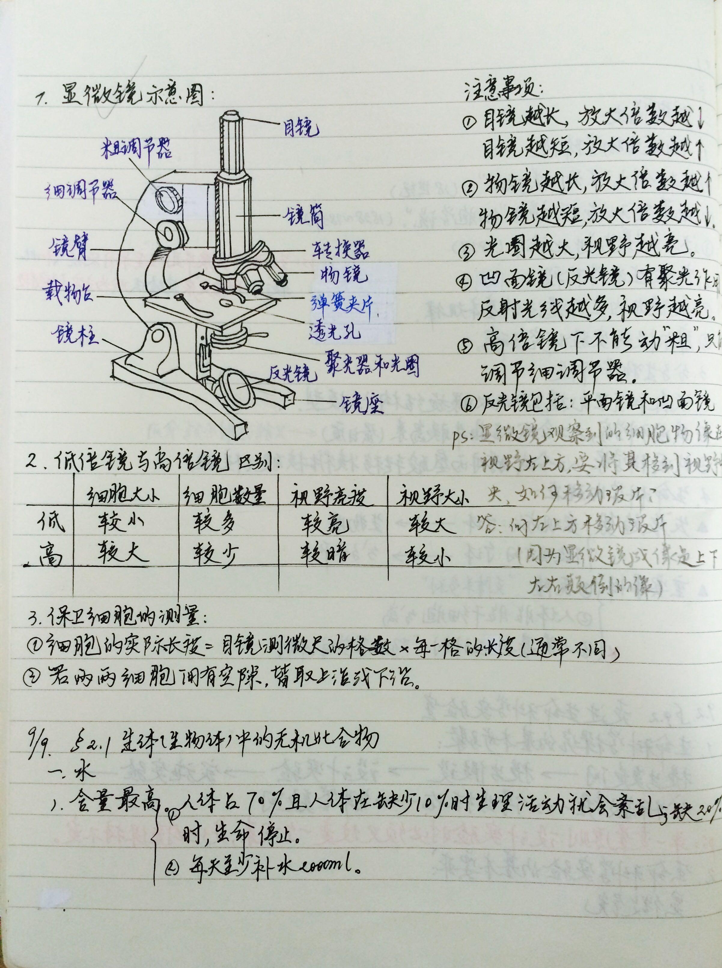 砥砺前行我与家乡共成长