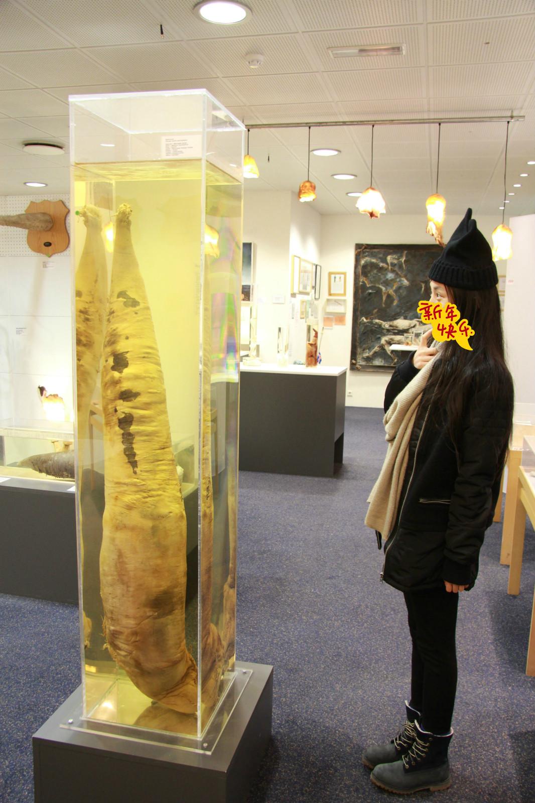 哪些专题类博物馆令人印象深刻?