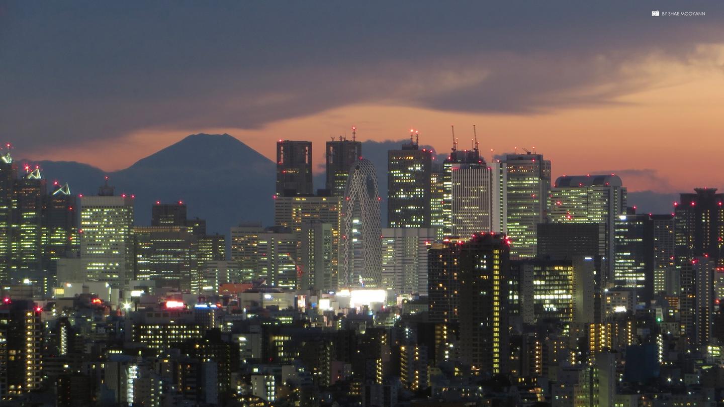 这个夏天最美的东京 - 知乎