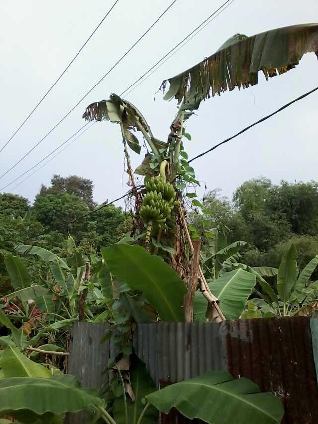 在冷门国家留学是一种什么体验? - 知乎用户的